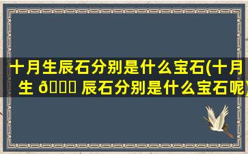 十月生辰石分别是什么宝石(十月生 🐕 辰石分别是什么宝石呢)